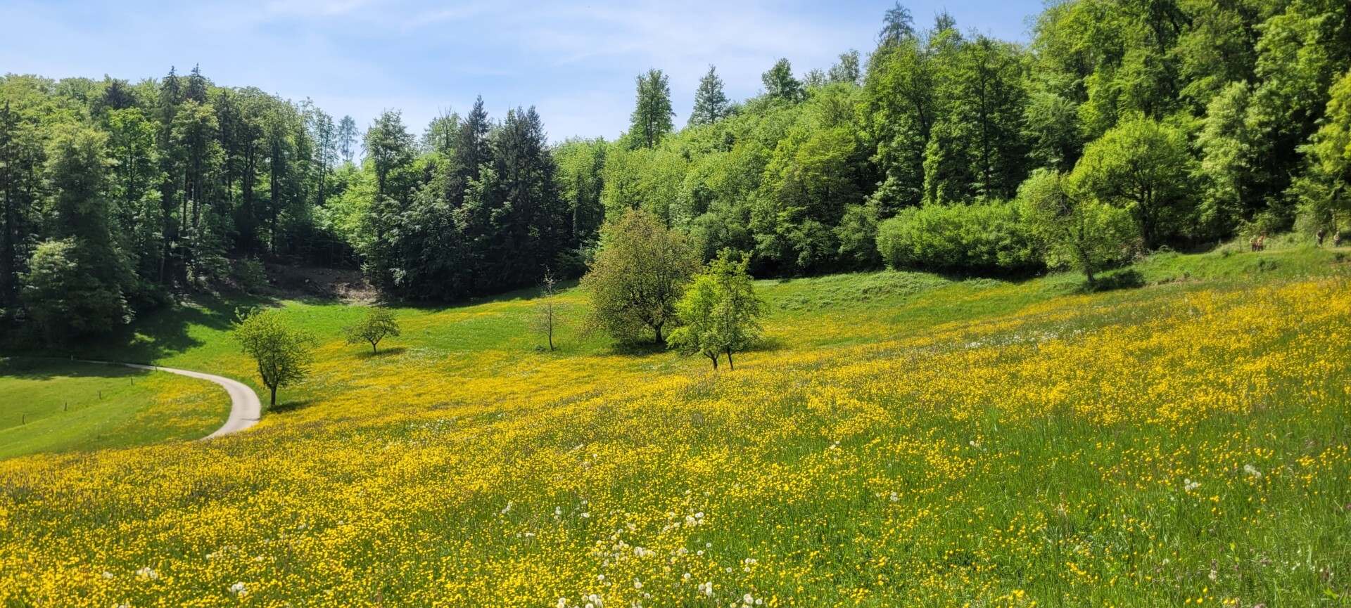 012_20260429_Interregiowanderweg